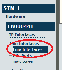 STM-1 LineInterfaces.png