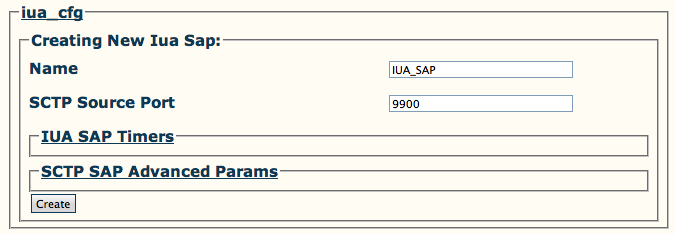 Config the new IUA SAP.jpg