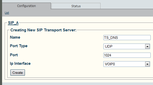 Web Portal SIP DNS Params A 2.png