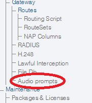 ConfigureAudioPrompts 0.png