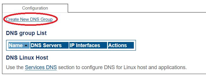 Dns group 1.png