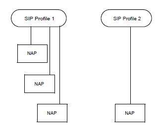 SIP-profile-schematic.jpg