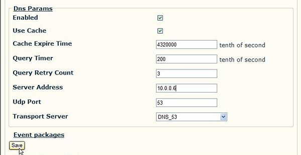 Screenshot-modifying-DNS-parameters.jpg