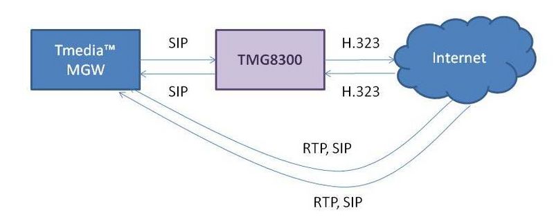 File:TMG8300 network schematic voip only.jpg