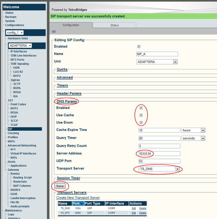 Web Portal SIP DNS Params A 3.png