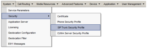 Security profile.png