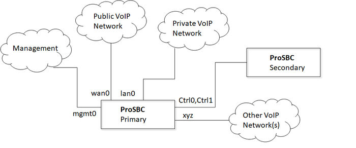 Tsbc-sw-any-networks 1+1 configuration-1.png