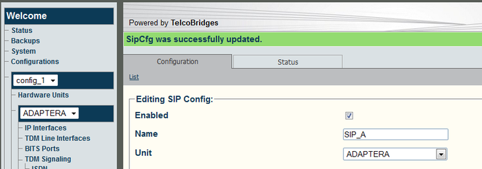 Web Portal SIP DNS Params A 4.png