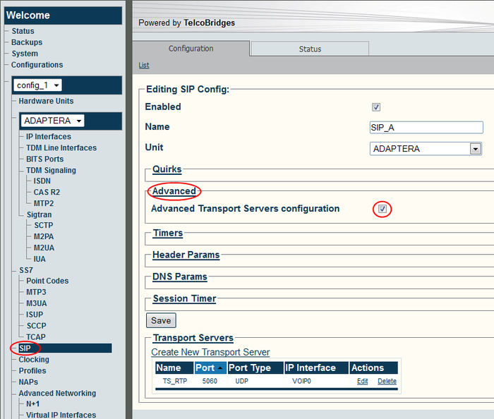 Web Portal SIP DNS Params A 1.png