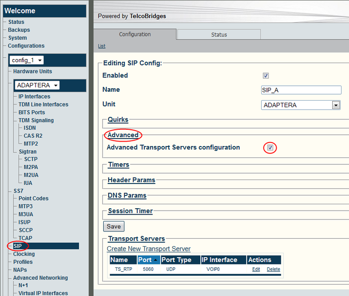 File:Web Portal SIP DNS Params A 1.png