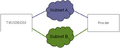Ha 2 Voip Networks.png