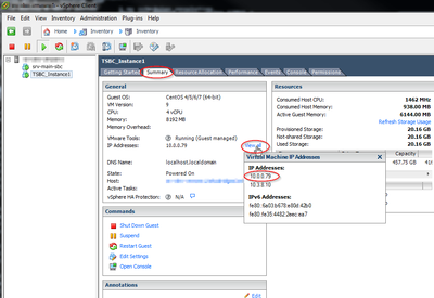 Vmware ip.png