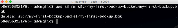 AWS CLI 5.png