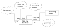 Tsbc-sw-any-networks with transcoding.png