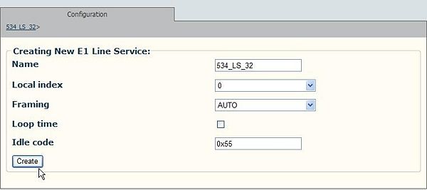 Screenshot-creating-new-E1-line-service.jpg